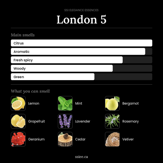 London 5