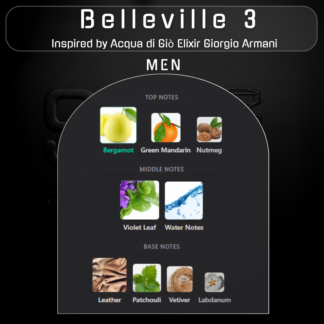 Belleville 3