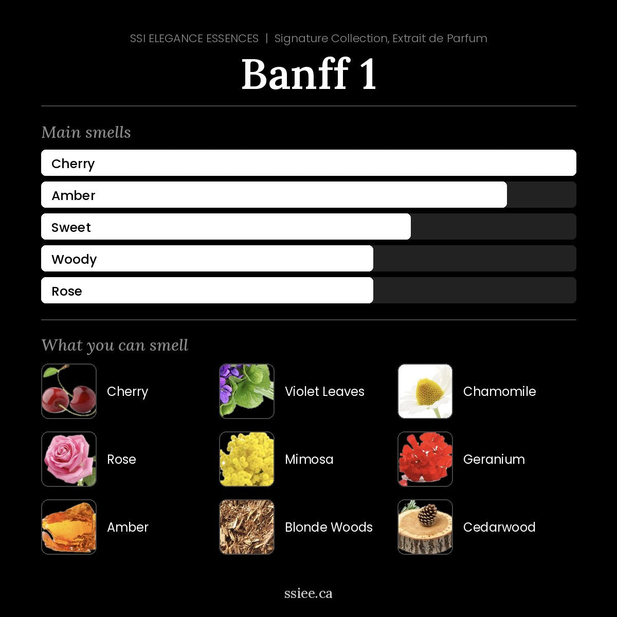 Banff 1 at a glance