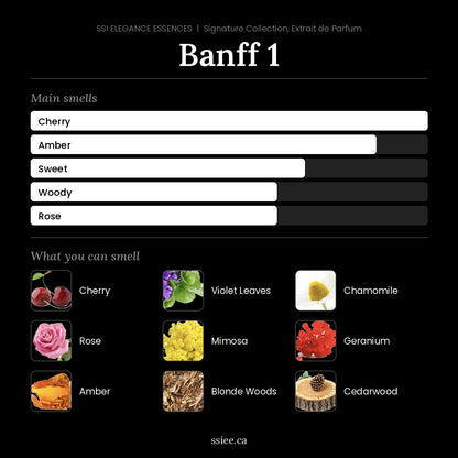 Banff 1 at a glance