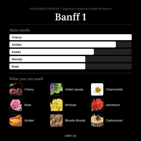 Banff 1 at a glance
