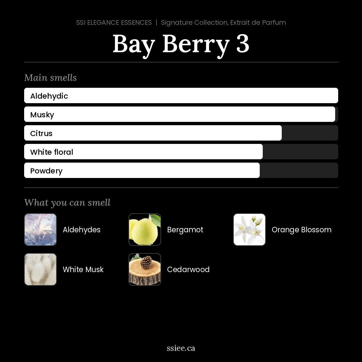 Bay Berry 3 at a glance