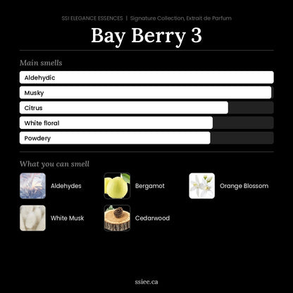 Bay Berry 3 at a glance