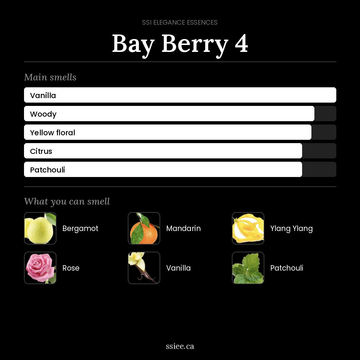 Bay Berry 4 at a glance
