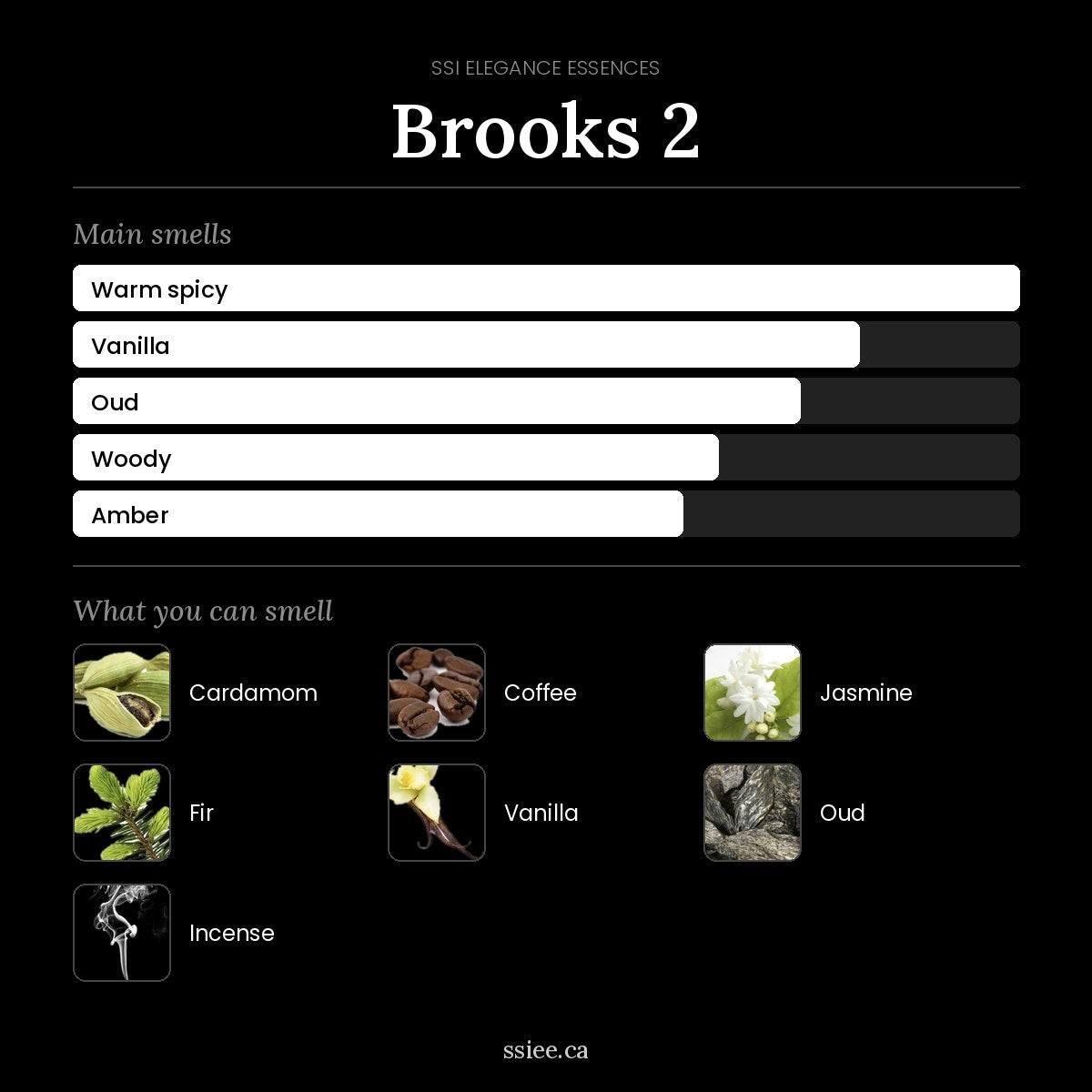 Brooks 2 at a glance