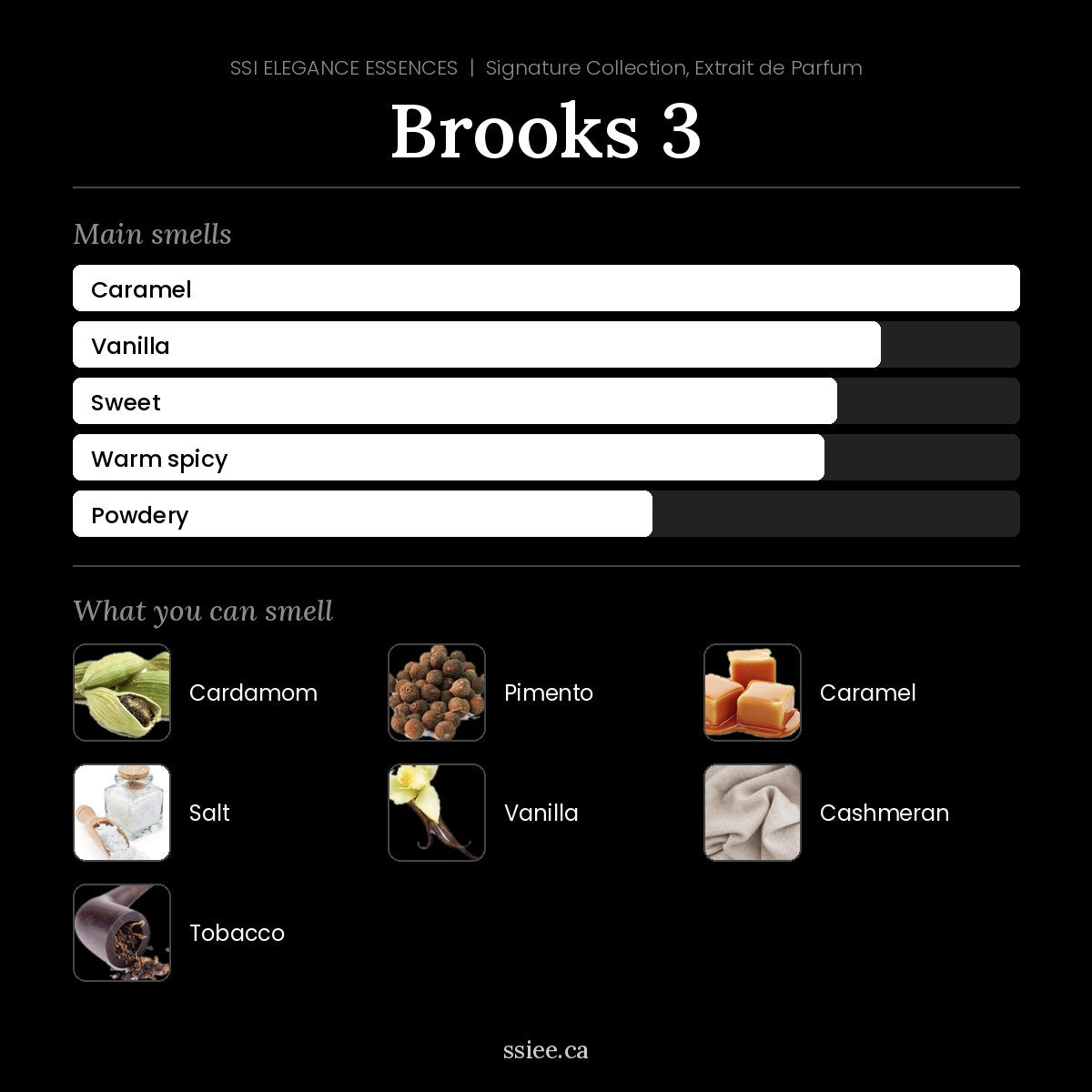 Brooks 3 at a glance