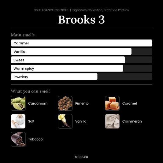 Brooks 3 at a glance