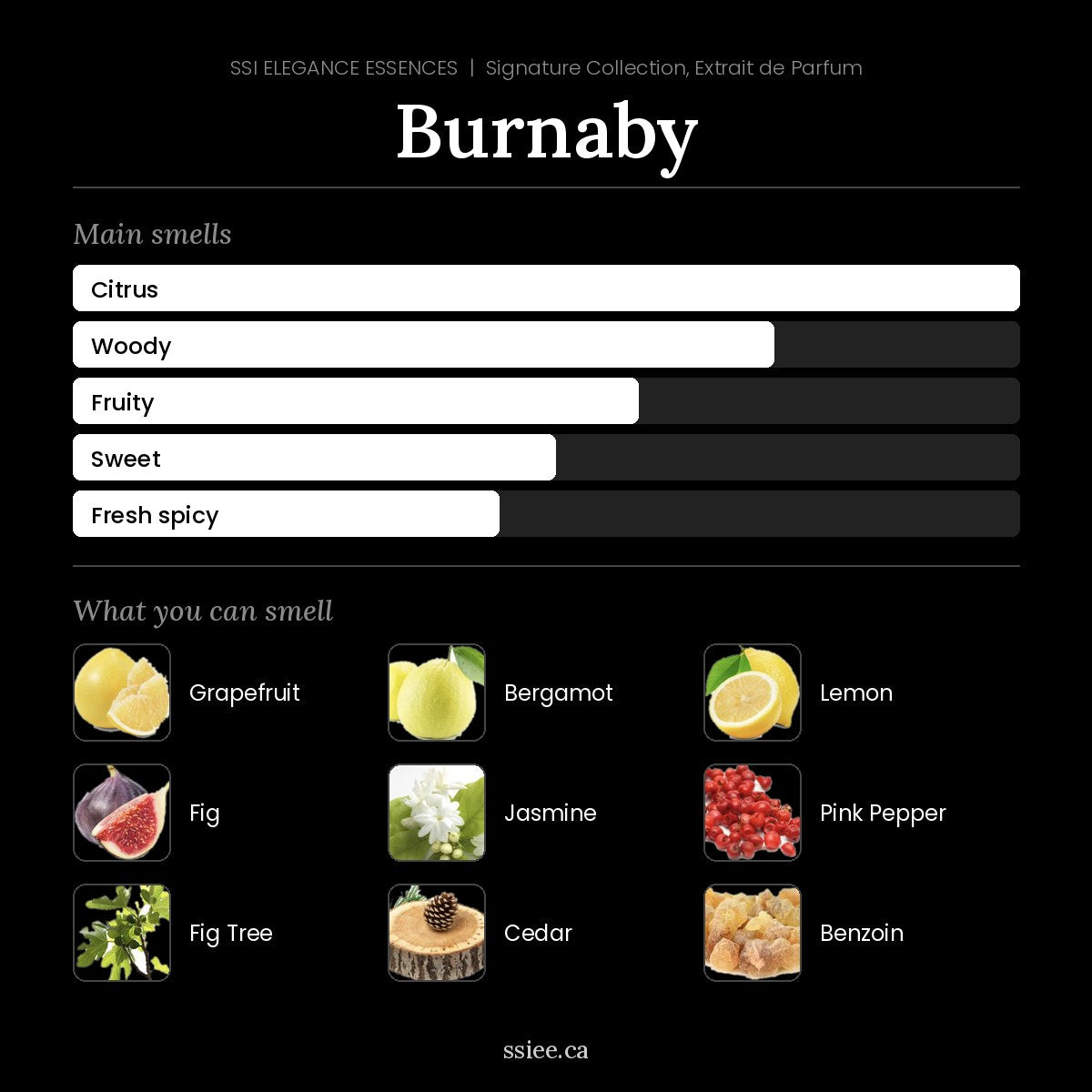 Burnaby at a glance