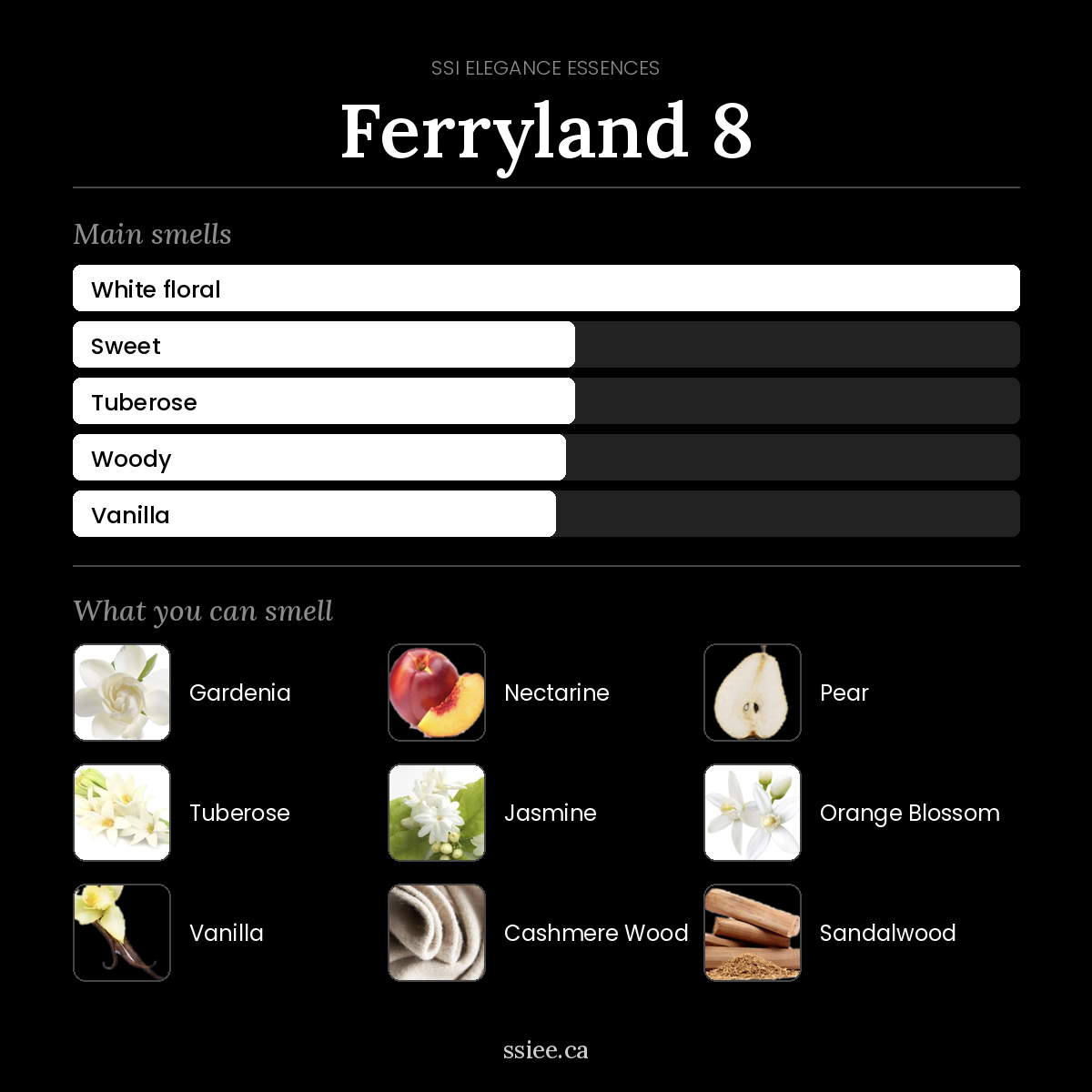 Ferryland 8