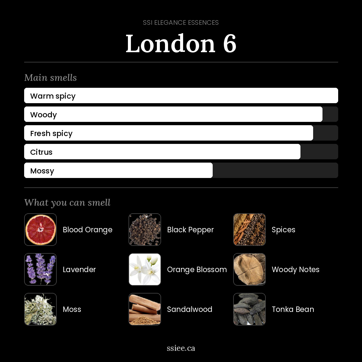 London 6