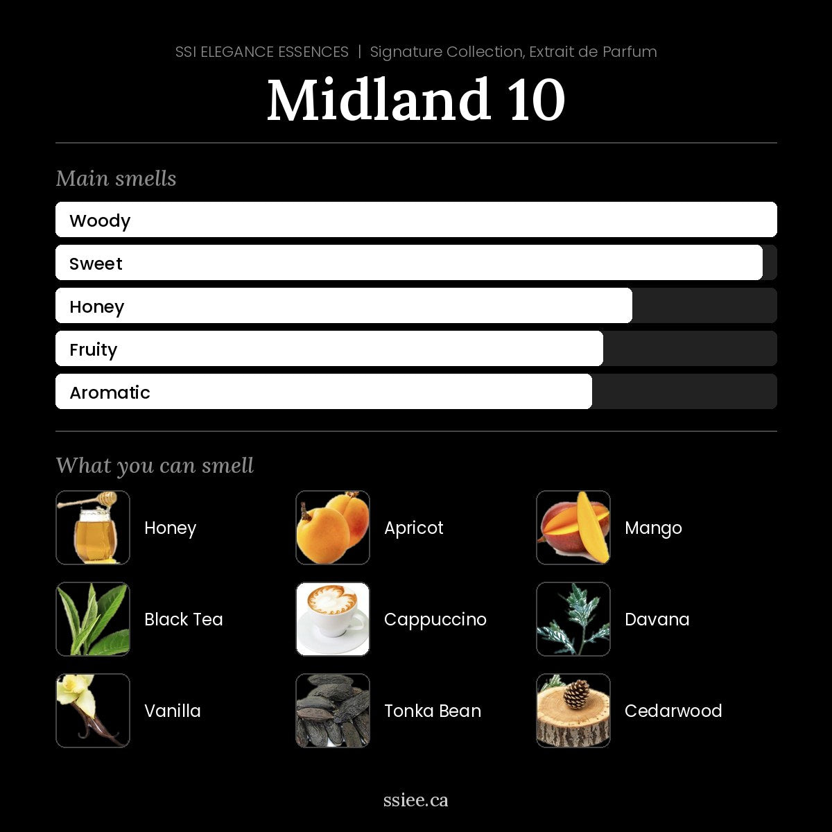 Midland 10 at a glance