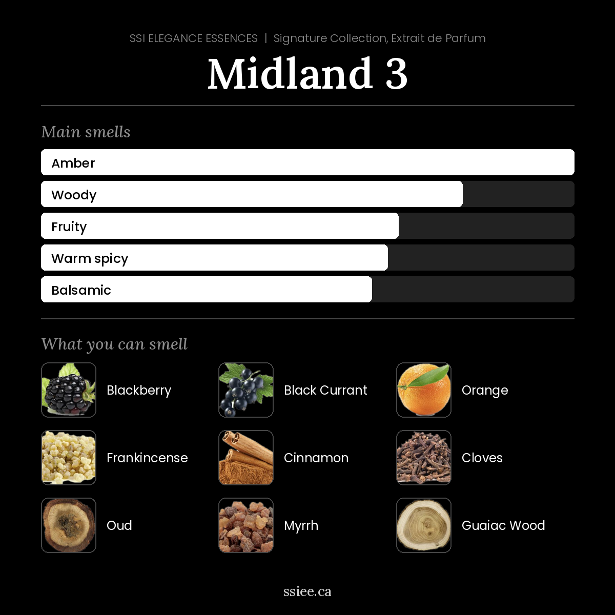 Midland 3