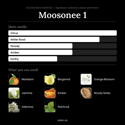 Moosonee 1