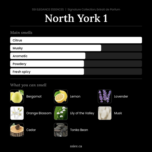 North York 1