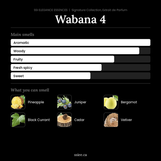 Wabana 4