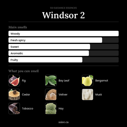 Windsor 2