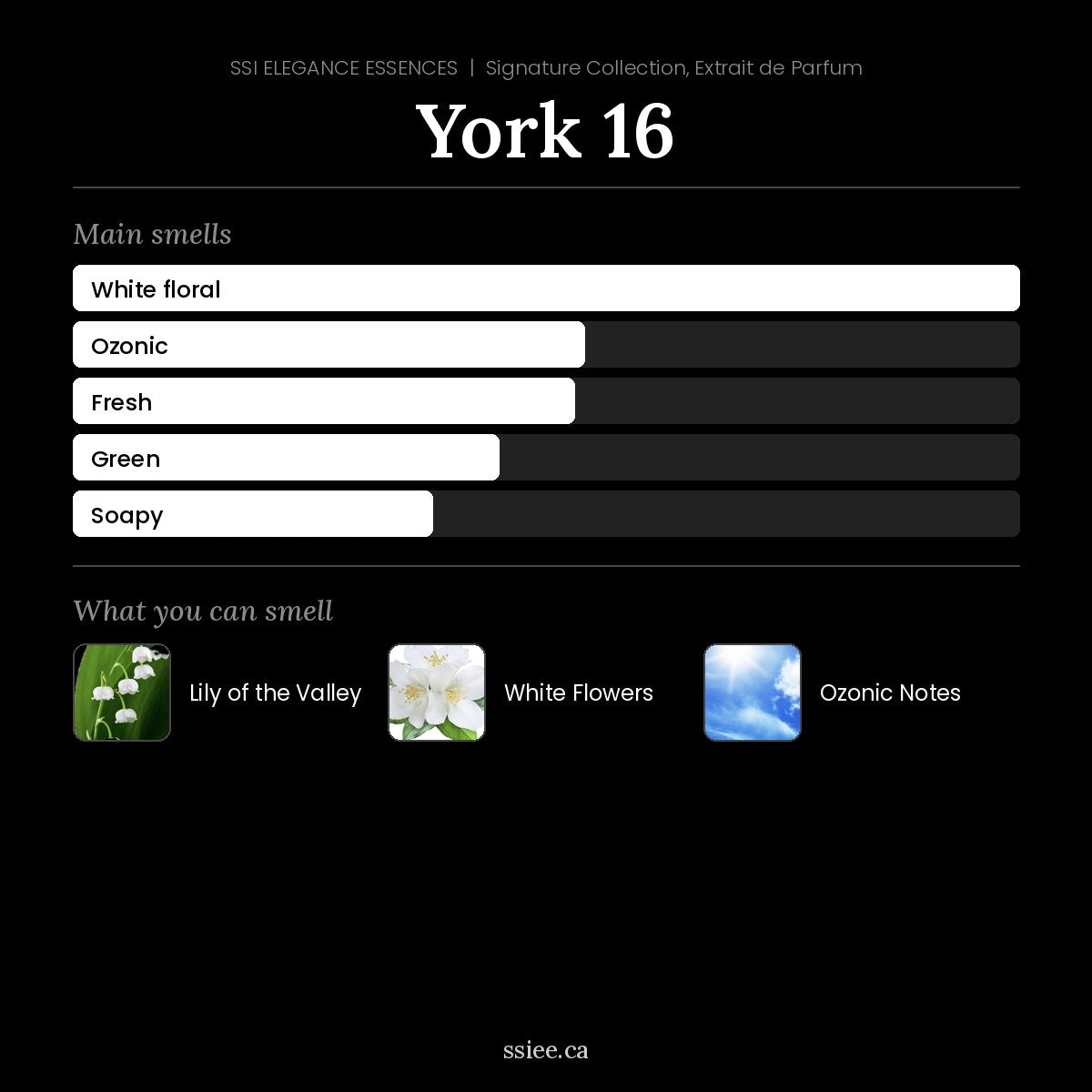 York 16 at a glance