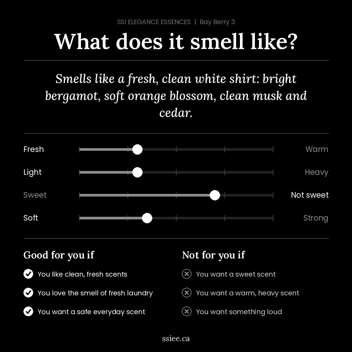 What does Bay Berry 3 smell like
