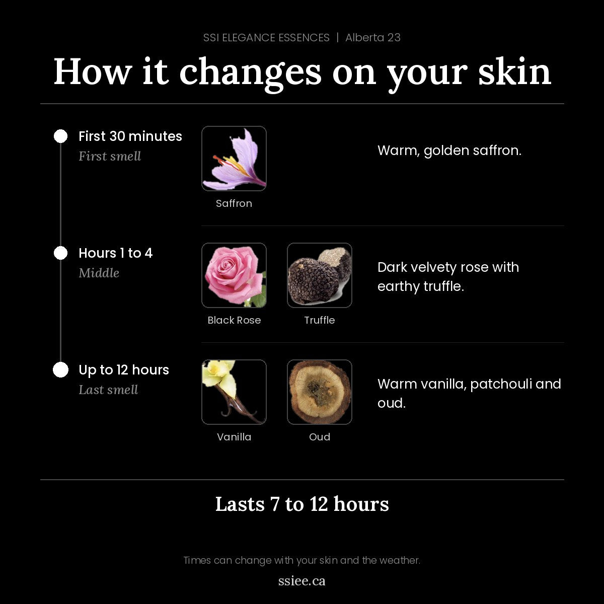 How Alberta 23 changes on your skin