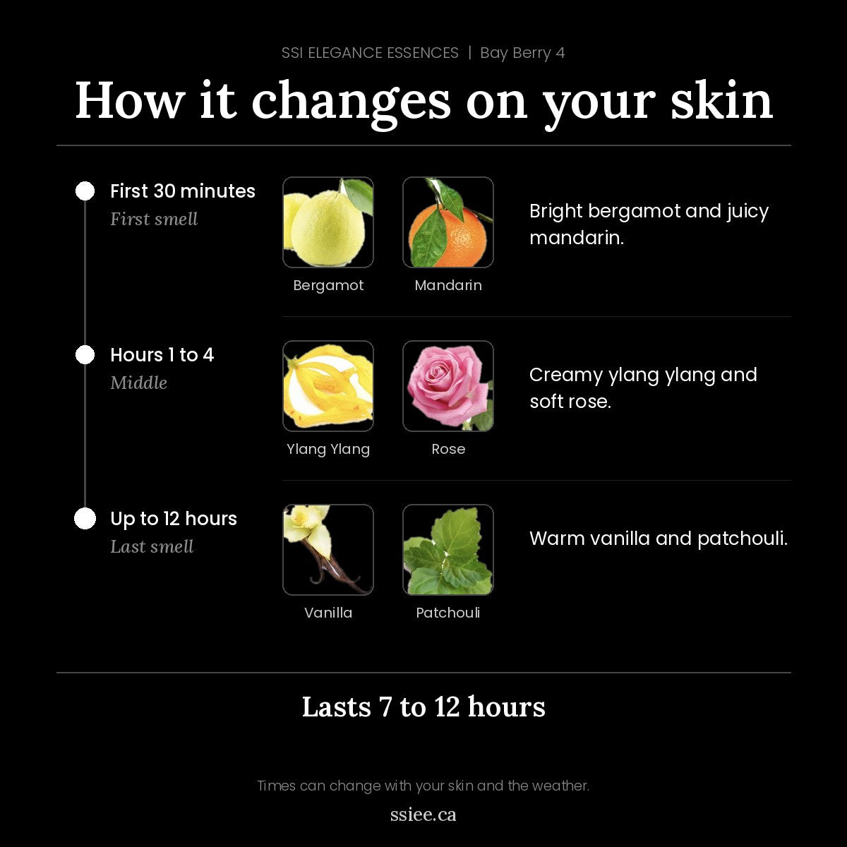How Bay Berry 4 changes on your skin