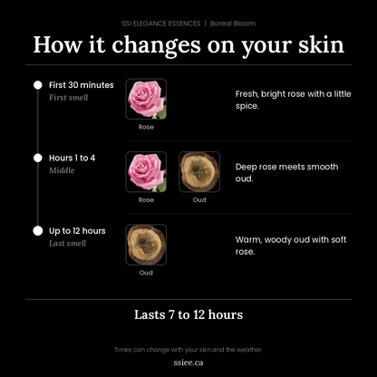 Boreal Bloom