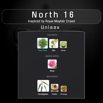 North 16