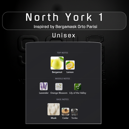 North York 1