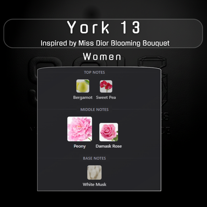 York 13